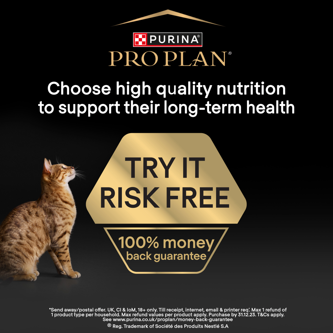 Purina deli cat hot sale dry cat food